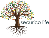 Securico Logo